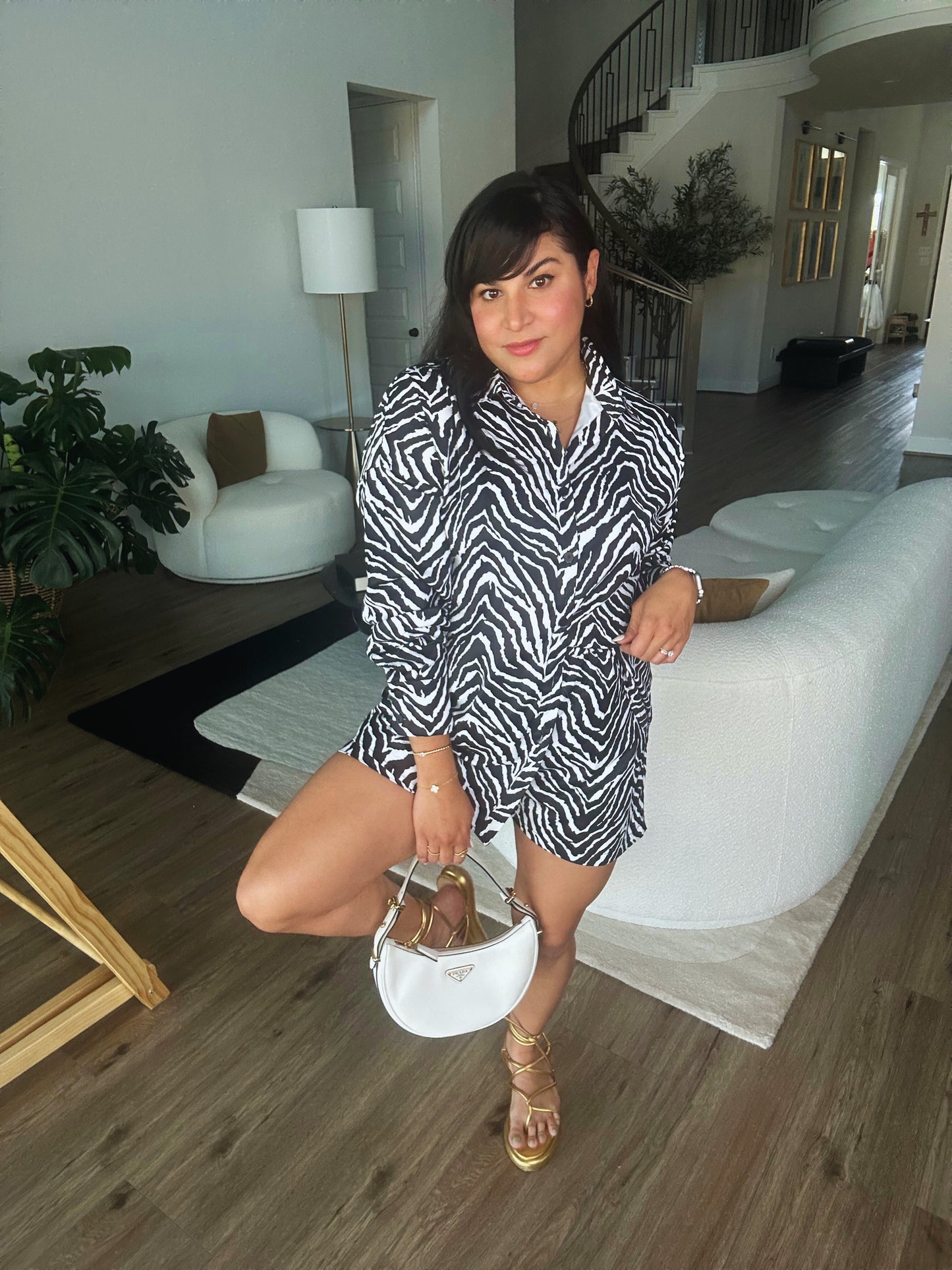 Zebra Set