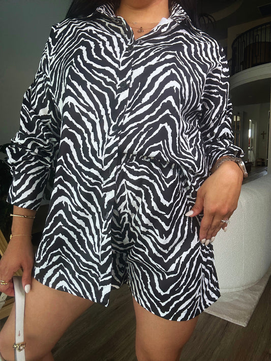Zebra Set